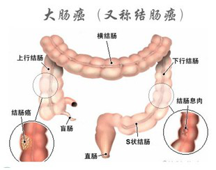 15320486225312886333.png 圖片58.png