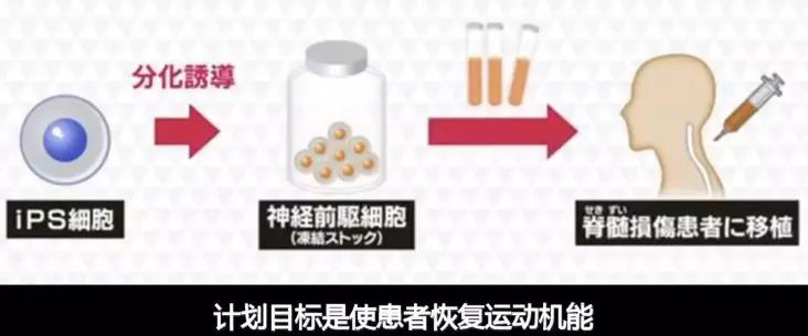 1550543769234673MI8x.jpg 1.jpg