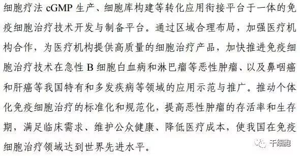 1557284929769452wSbO.jpg 4.jpg