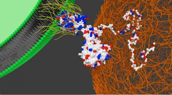 1562894856911751qQ9B.png 微信截圖_20190712092335.png