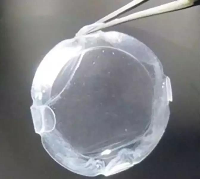 1568162326388695LDPY.jpg 5.jpg